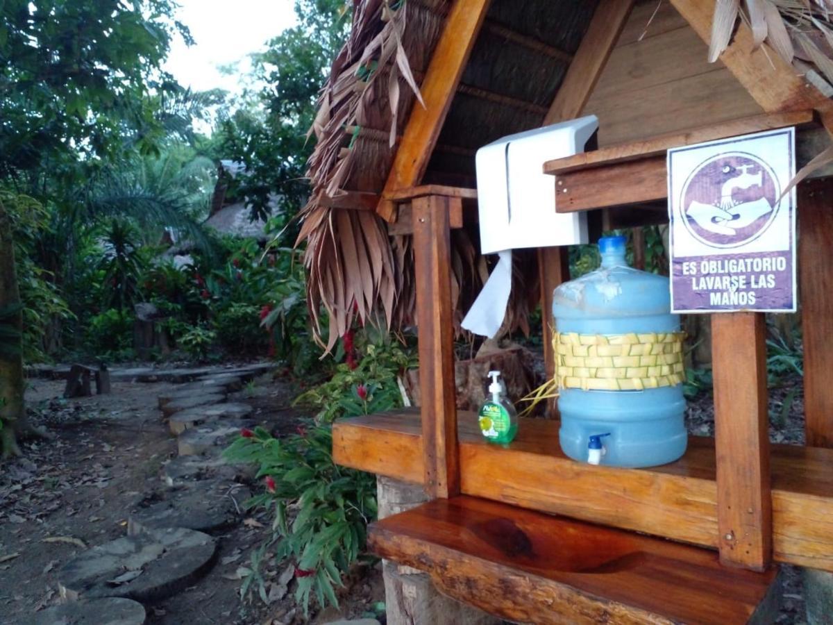 Ecolucerna Lodge Tambopata 푸에르토말도나도 외부 사진