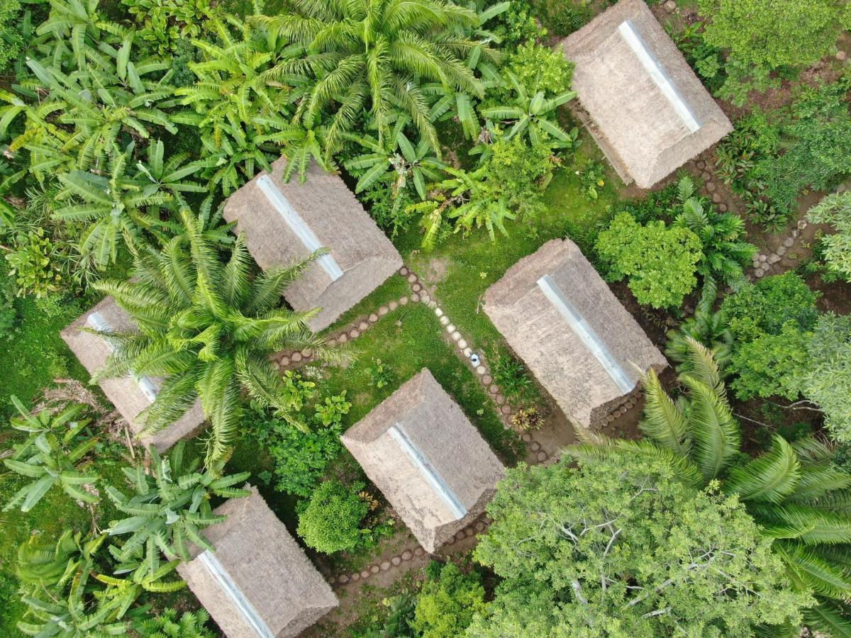 Ecolucerna Lodge Tambopata 푸에르토말도나도 외부 사진