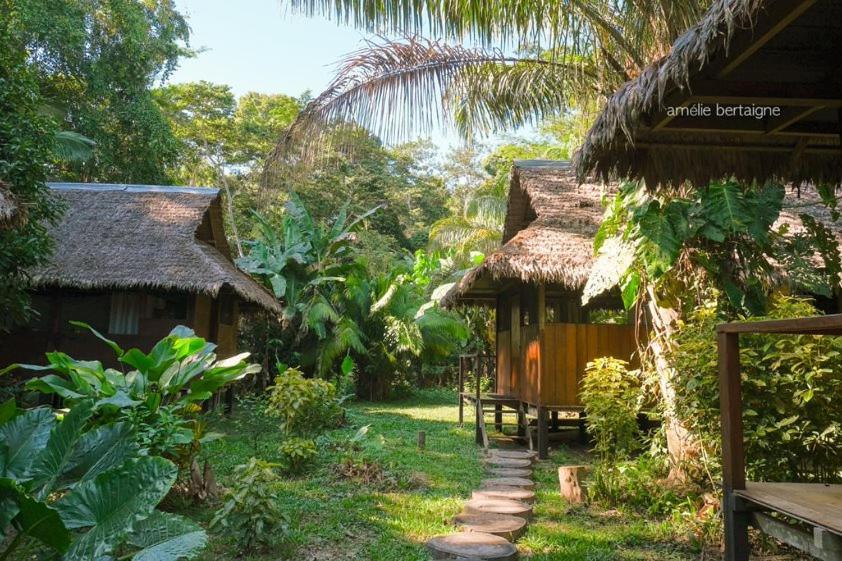 Ecolucerna Lodge Tambopata 푸에르토말도나도 외부 사진
