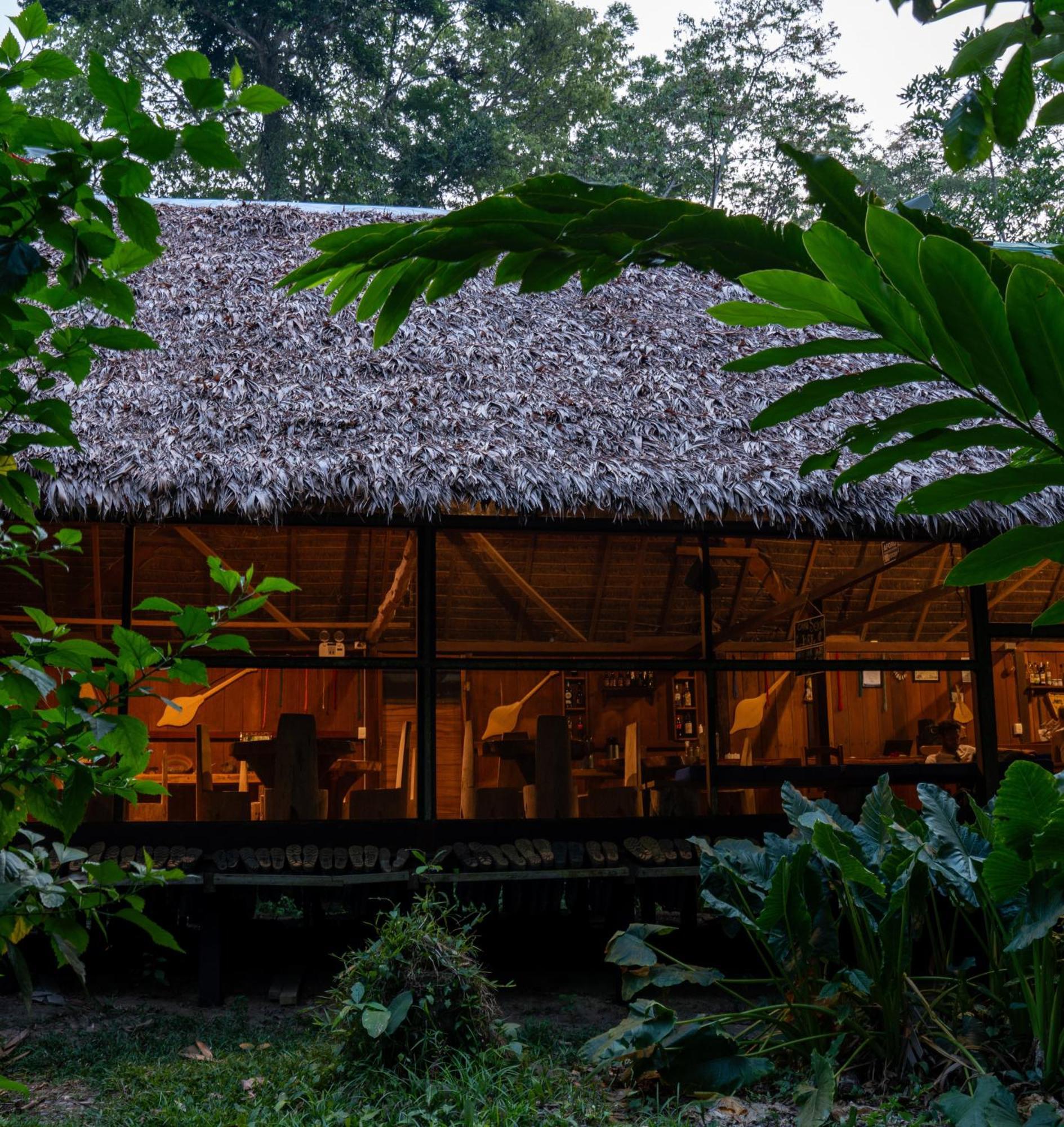 Ecolucerna Lodge Tambopata 푸에르토말도나도 외부 사진